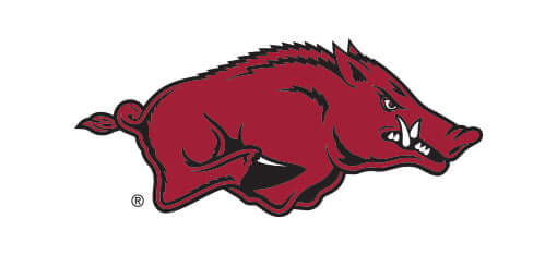 THE UNIVERSITY OF ARKANSAS