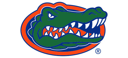 THE UNIVERSITY OF FLORIDA