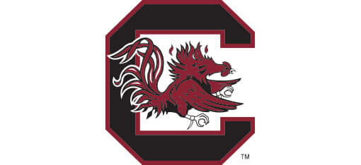 THE UNIVERSITY OF SOUTH CAROLINA