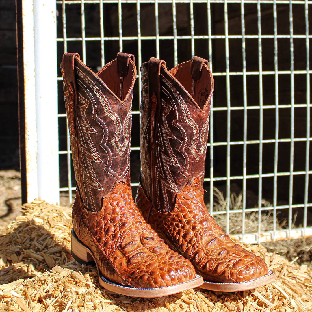 Men's Cognac Head Cut Alligator Zander Vaccari Boots